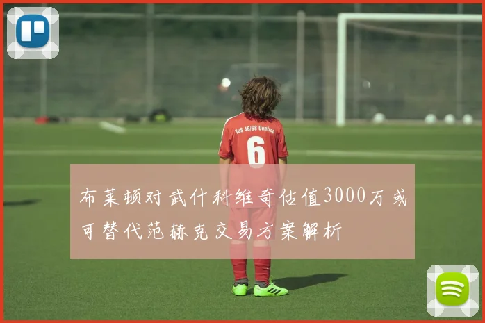 布莱顿对武什科维奇估值3000万或可替代范赫克交易方案解析