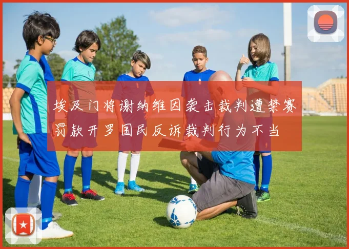 埃及门将谢纳维因袭击裁判遭禁赛罚款开罗国民反诉裁判行为不当